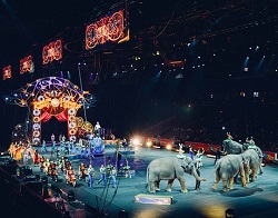 circusのイメージ画像